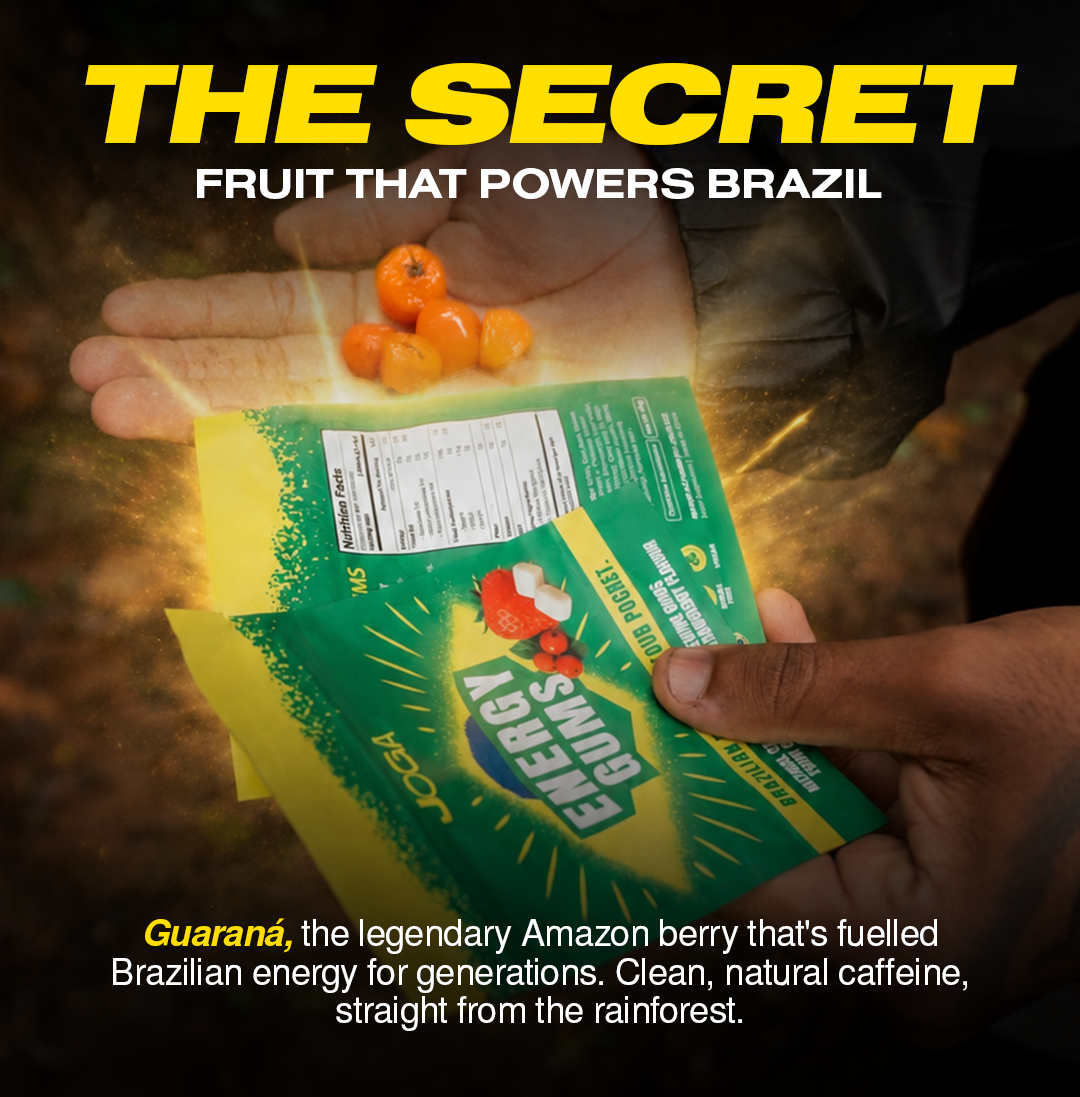 Samba Bundle